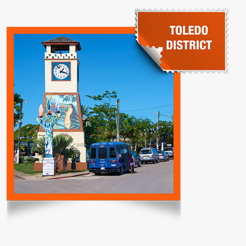 Properties in Toledo District