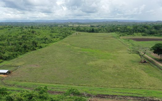 25 Acres of Cleared Land in Western Belize Cayo