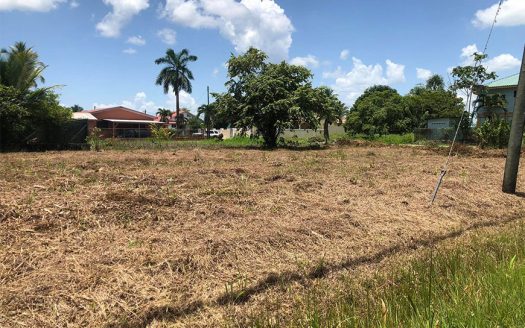 Spacious Residential Lots in Belmopan Cayo