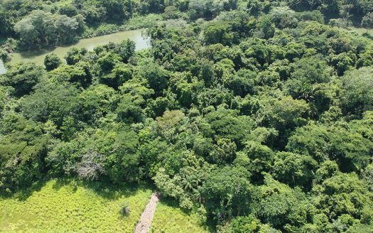 23.8 Acres on the Belize River Cayo