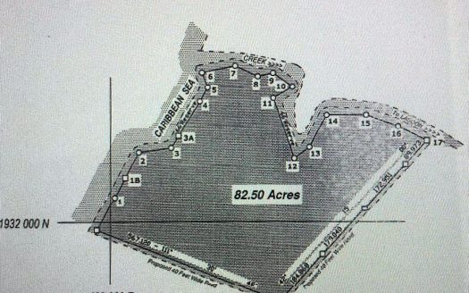 82.5 Acres on Turneffe Atoll Island