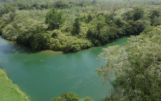 35 Acres | On the Belize River Cayo