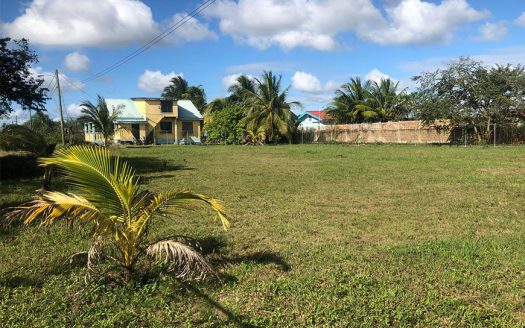 Residential Lots In University Heights Cayo