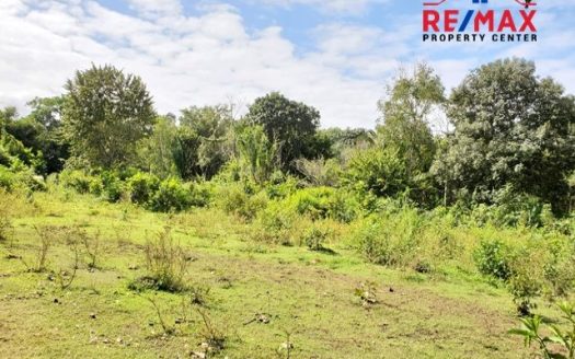 #4037 - Large Lot in small Residential Subdivision near Belmopan Belmopan