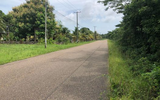 25 Acres Near Archeological Site Belize