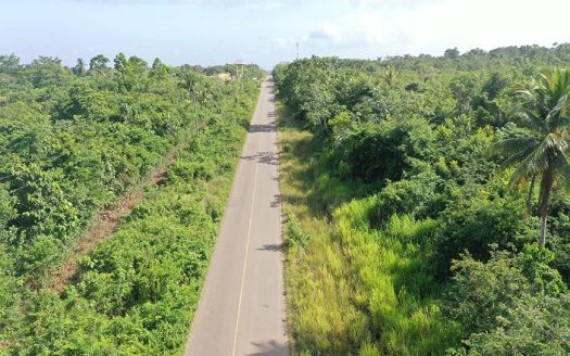 50 Acres Of Lush Jungle| Belize Real Estate| Belize