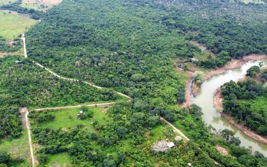 River front acreage in Mount Pleasant Estate