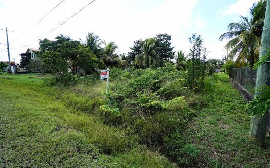 Prime Residential Lot for Sale near the US Embassy Housing Compound in Belmopan Cayo