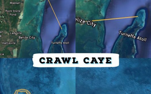 Lovely Crawl Caye