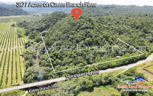 Belize Resort Property Potential! 31.77 Acres with over 1,600 feet of Caves Branch River!