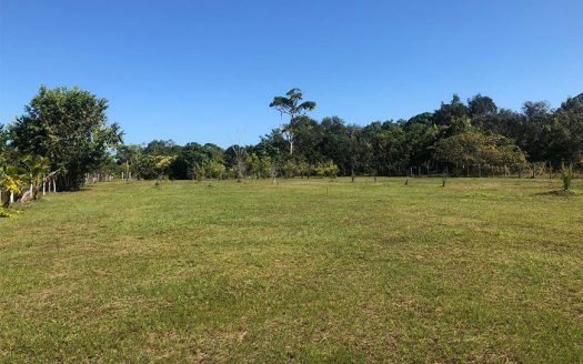 2 Acres In The Belize District