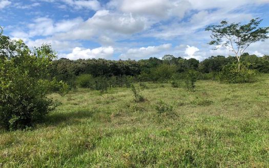 25 Acres On The Mopan River| Cayo