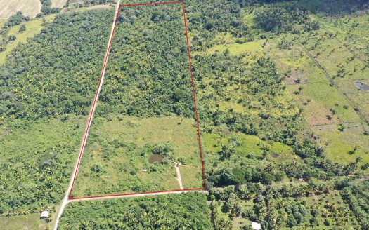 25 Acres With Pond In Cayo District Cayo