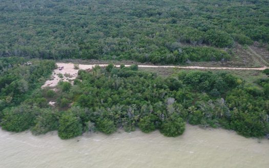 Seafront Lots Near Blackbeard Corozal