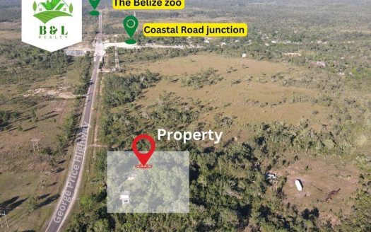 Lot with house near Belize Zoo