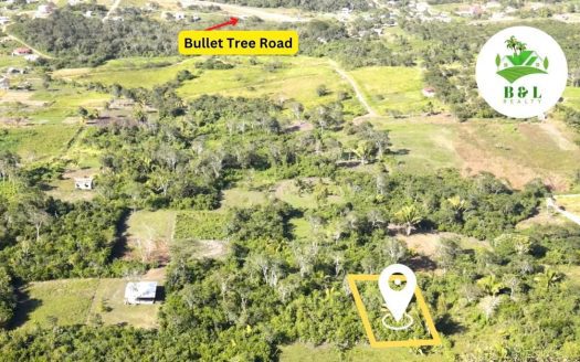 Pristine property with an amazing deal located in Charlie Wagner Layout, Bullet Tree Village, Cayo.