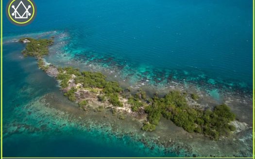 PI0016 – The Gem of Southern Belize - Nestled serenely just beyond the Lark Caye range is the exquisite and unspoiled South Saddle Caye. Island