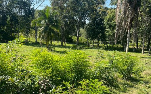Ultimate San Ignacio Getaway, Country Property Land