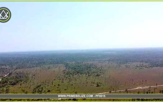 PF0015 - 2547 Acres of Untouched Land in Monkey River Bladen, Belize