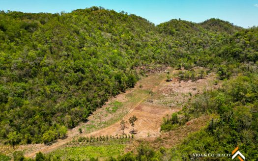 Farmland In Belize Property For Sale Cayo