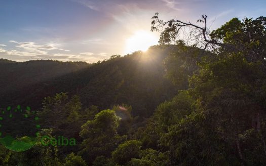 150-Acre Parcel W/ 6000 Ft Creek Frontage At Barton Creek El Progresso Village