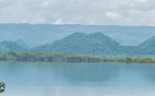 54.8-Acre Western Lagoon Front Parcel In The Belize District