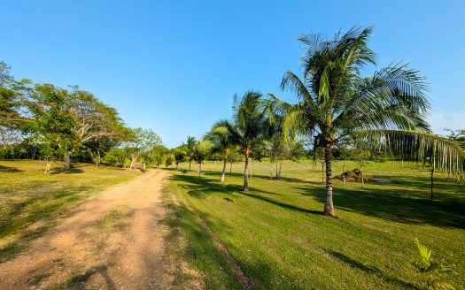 Bullet Tree ,Modern Off-Grid Home For Sale Cayo