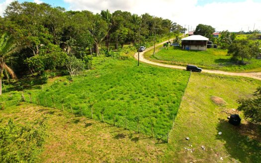 Residential Lot For Sale In Bullet Tree Road, San Ignacio, Cayo District