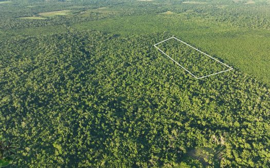 23-Acre Untouched Parcel in Young Gyal Mcrae Cayo