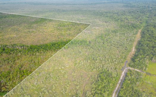 40-Acre Special Offer Investment In Southern Belize all