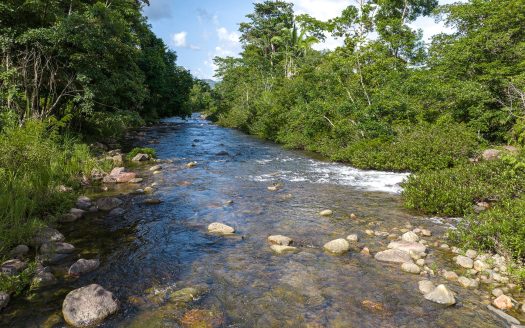 20-Acre Riverfront Property Beyond The Hummingbird Highway Stann Creek