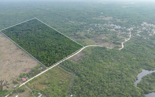 100-Acre Investment Property In The Heart Of Rural Belize Belize