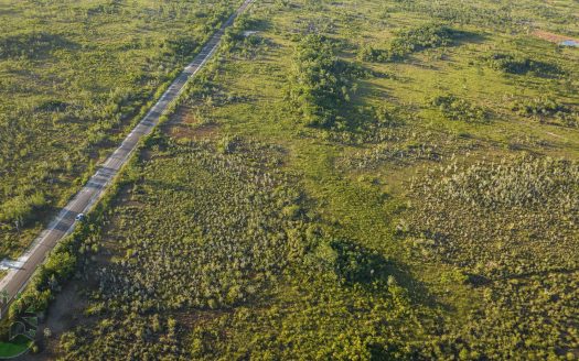 50-Acre Investment Opportunity Along The Northern Highway Belize