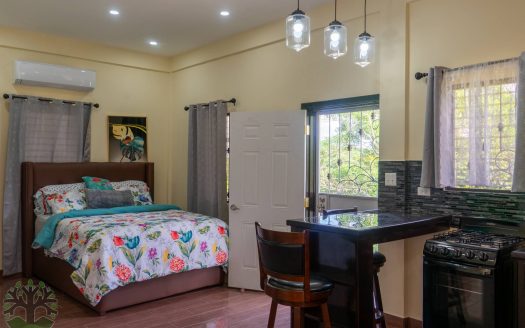 Fully Furnished Studio Apartment For Rent In Santa Elena Rentals