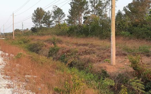 Large Lots in La Democracia Belize