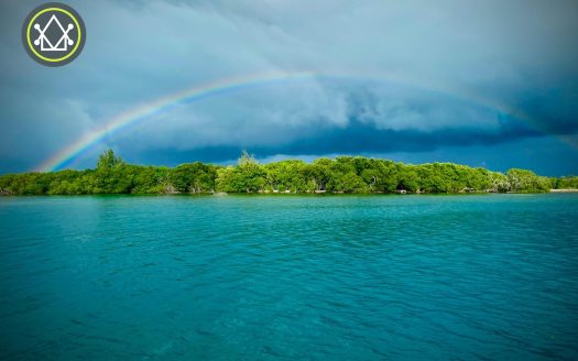 PI0011 - PI0011 -Driftwood Caye – A Pristine Island in a Protected Marine Park Island